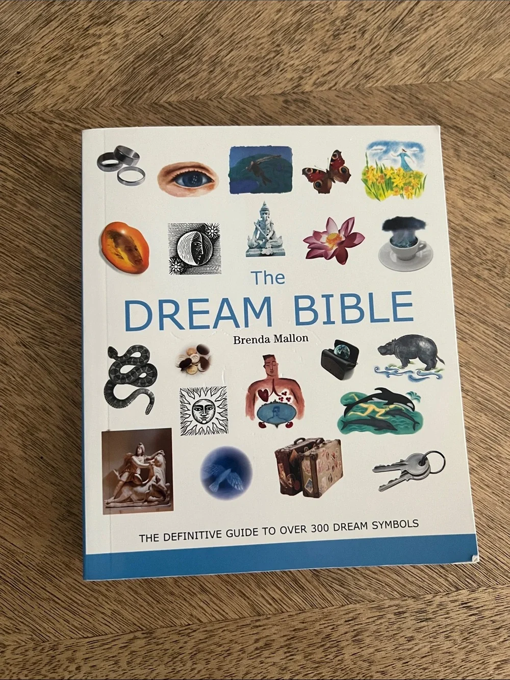 The Dream Bible Wall Art - White